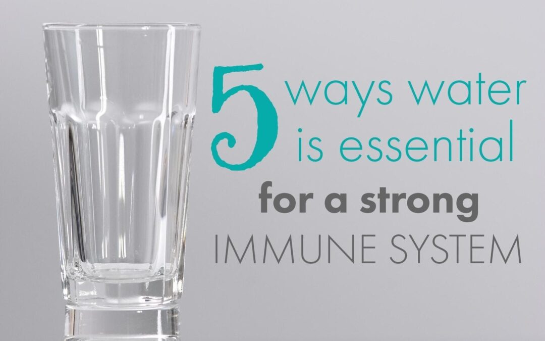 Water and the immune system