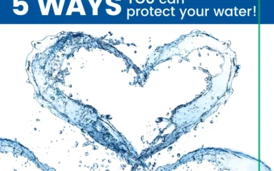 5 Ways You Can Protect Your Water!